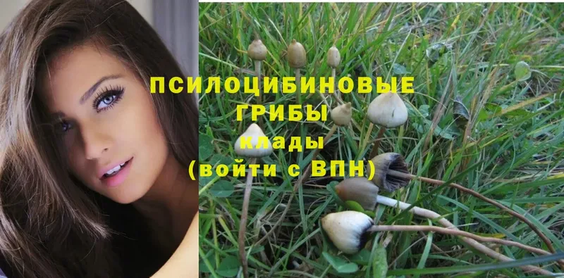 Галлюциногенные грибы Magic Shrooms  Кораблино 